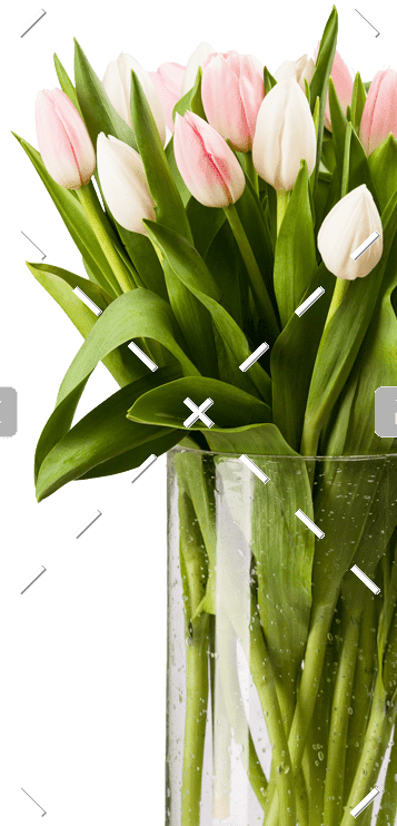 demo-attachment-71-pink-and-white-tulips-bouquet-in-vase-with-path-P9CHJ4W-1-1