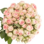 0-6__grandmas-katy-50cm-deutschland__1000x1000