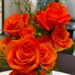 KingsDayRose6