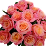 misspiggy_rose-03_1200x1200